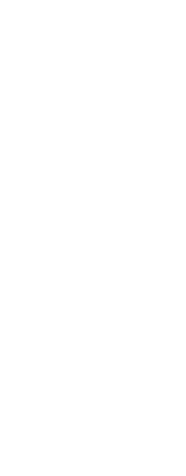 Sentricon Termite Bait Stations