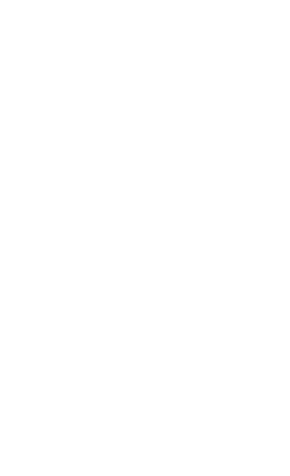 Termite Damage Remediation Services