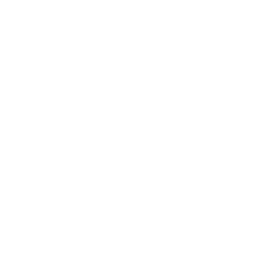 Termite Inspection Services