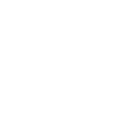 Termite Treatment Services